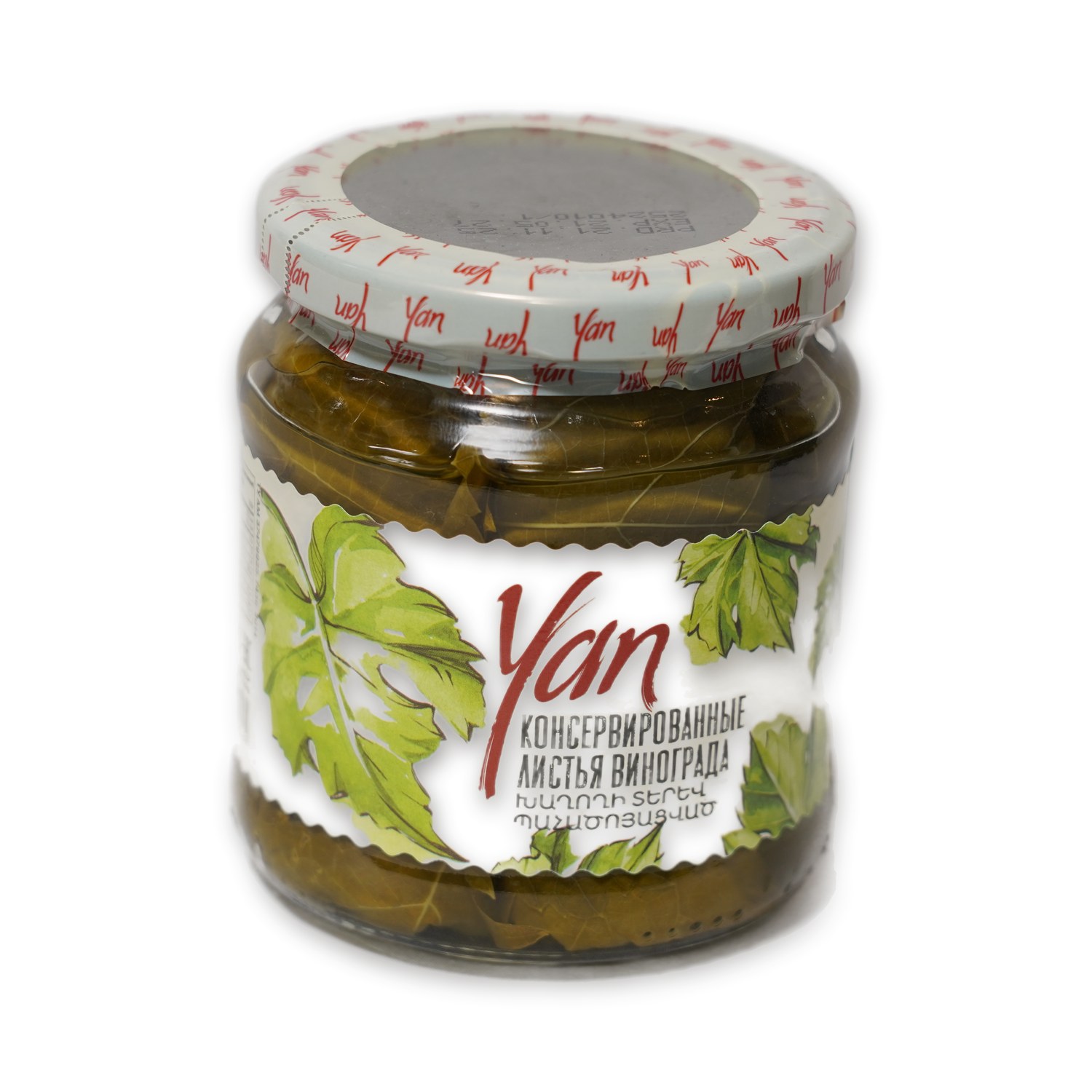 Preserved Grape Vine Leaves — Yan